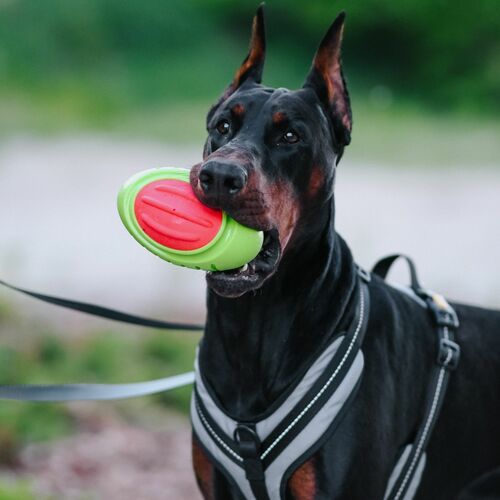 Product photo Tpr Rubber Dog Toy - Rugby Dent 6