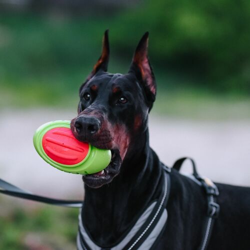 Product photo Tpr Rubber Dog Toy - Rugby Dent 12