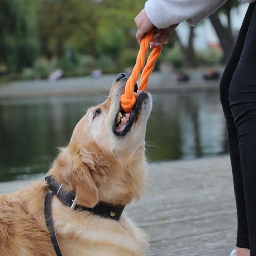 Product photo Energy Braided Dog Toy Ringo 18 Cm 9