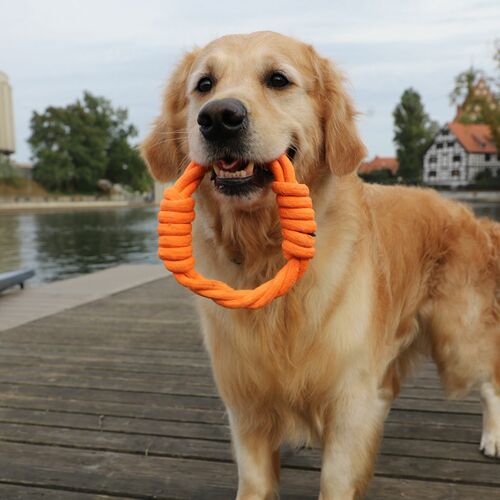 Product photo Energy Braided Dog Toy Ringo 18 Cm 5