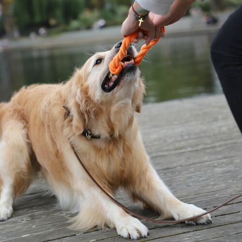 Product photo Energy Braided Dog Toy Ringo 18 Cm 10