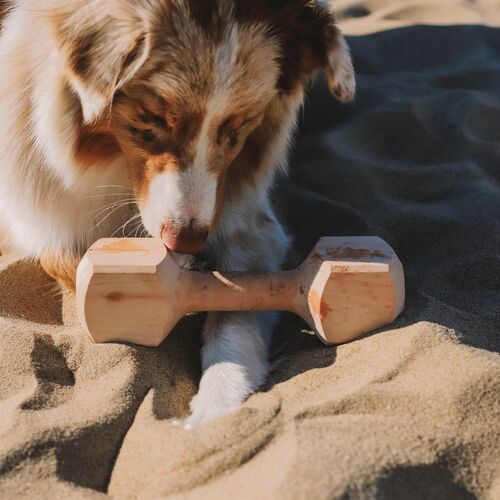 Product photo Wooden Dumbbel 12