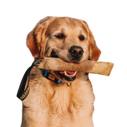 Product photo Jute Bite Tug With A Handle 2