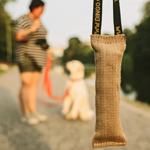 Product photo Jute Bite Tug With A Handle 3
