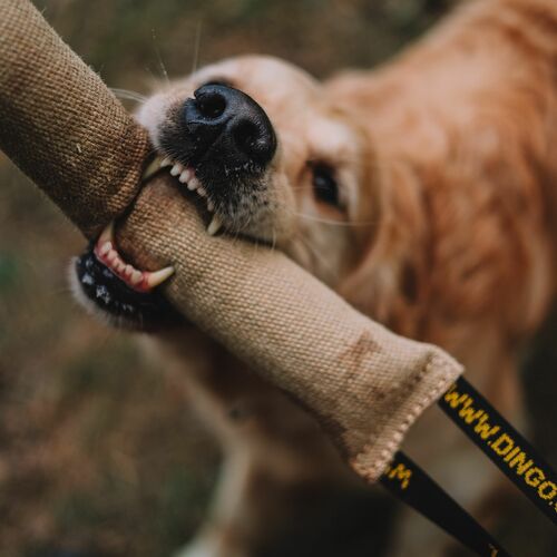 Product photo Jute Bite Tug 2 Handles 2
