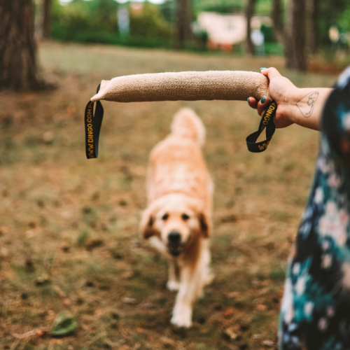 Product photo Jute Bite Tug 2 Handles 6