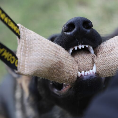Product photo Jute Bite Tug 2 Handles 10