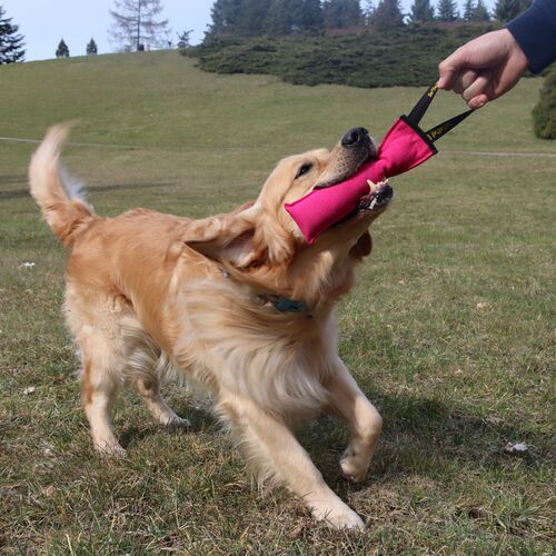 Product photo Agility Cotton Tug Toy 9