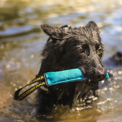 Product photo Agility Cotton Tug Toy 7