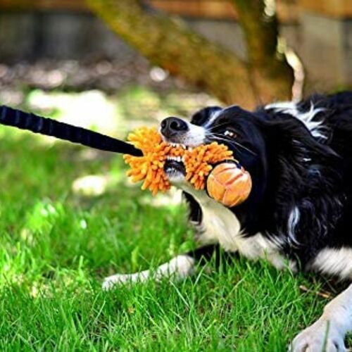 Product photo Mop Tug With Ball - Bungee Handle 7