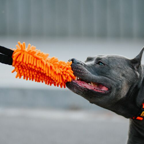 Product photo Mop Tug - Loop Bungee Handle 3