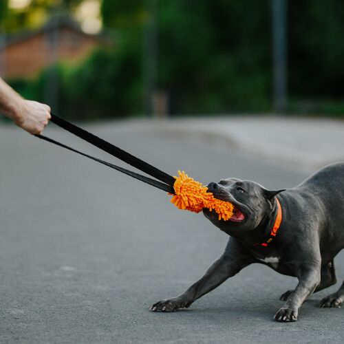 Product photo Mop Tug - Loop Bungee Handle 10