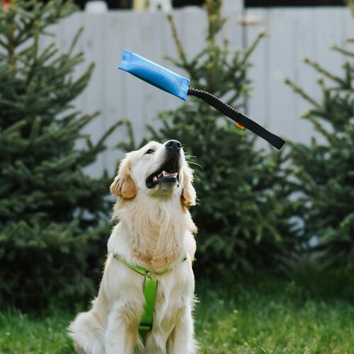 Product photo Firehose Bungee Tug Toy 5