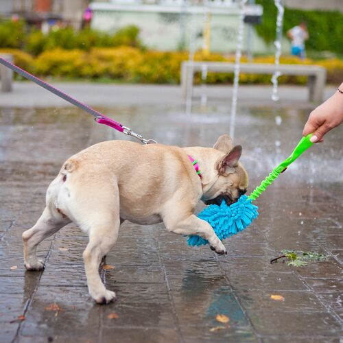 Product photo Mop Tug Toy With Bungee Handle 6