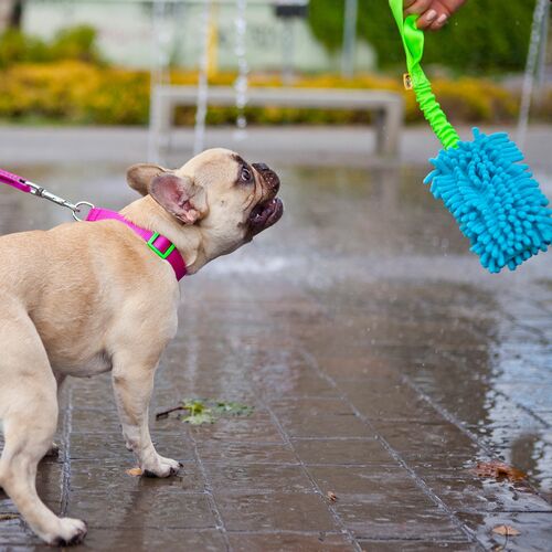 Product photo Mop Tug Toy With Bungee Handle 8