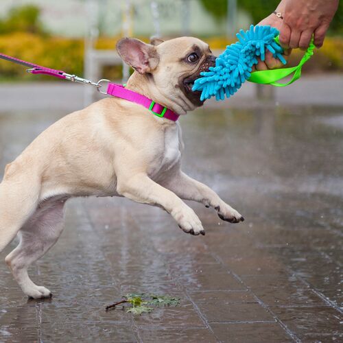 Product photo Mop Tug Toy With Bungee Handle 10