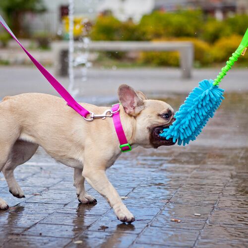 Product photo Mop Tug Toy With Bungee Handle 12