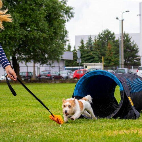 Zdjęcie produktu Szarpak MOP na długiej taśmie 6