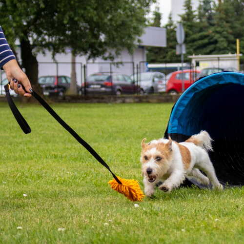 Product photo Mop Tug Toy With Long Handle 5