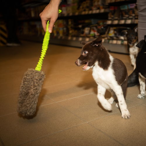 Product photo Faux Fur Dog Toy + Bungee Handle 7