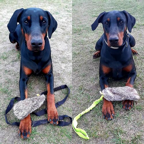Product photo Faux Fur Dog Toy + Bungee Handle 8