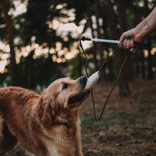 Product photo Rod With Rope 130Cm 14