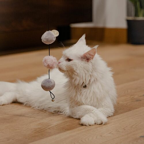 Product photo Glamour Cat Teaser + Pom Poms 4