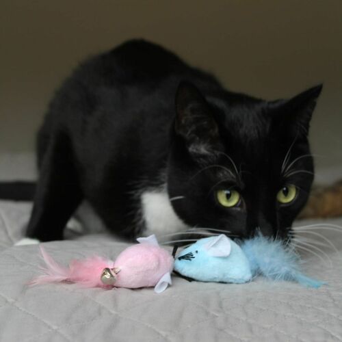 Product photo Twin Cat Toy 2 Mice 3