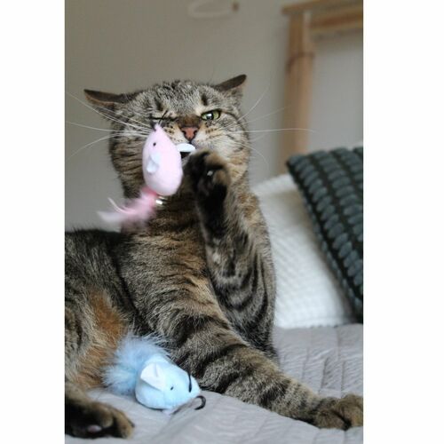 Product photo Twin Cat Toy 2 Mice 5