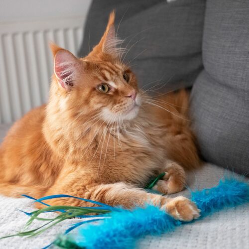 Product photo Charming Cat Teaser+3 Replaceable Toys 6
