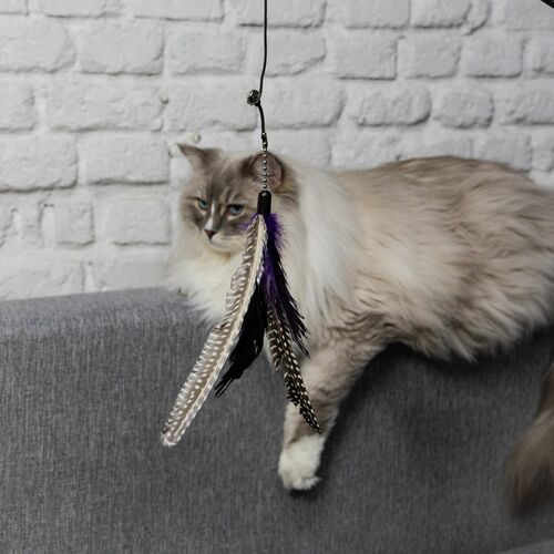 Product photo Charming Cat Teaser+3 Replaceable Toys 4