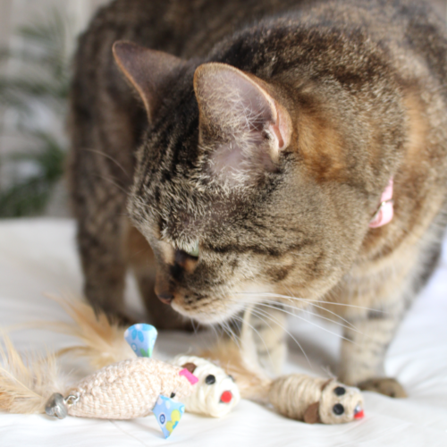 Product photo Cat Toy Eco 2 Mice Sisal + Seagrass 3
