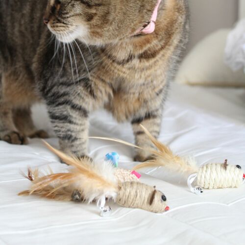 Product photo Cat Toy Eco Flax 2 Mice 3