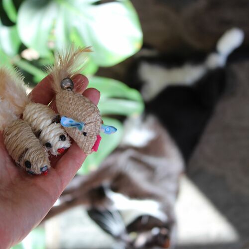 Product photo Cat Toy Eco Flax 2 Mice 8