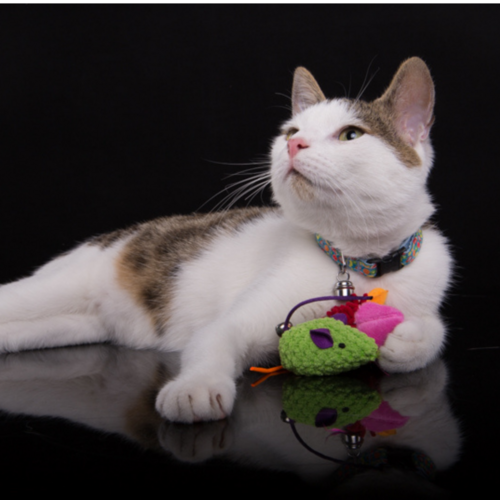 Product photo Pineapple Cat Toy 2 Mice 2