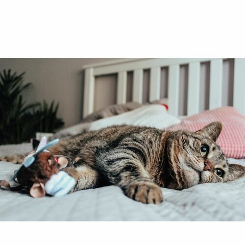 Zdjęcie produktu Zabawka dla kota- mysz NARCIARZ 3