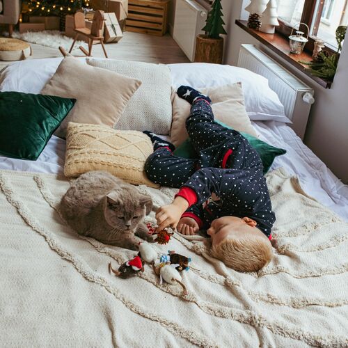 Product photo Skier Cat Toy 4