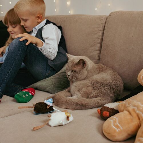 Product photo Skier Cat Toy 5