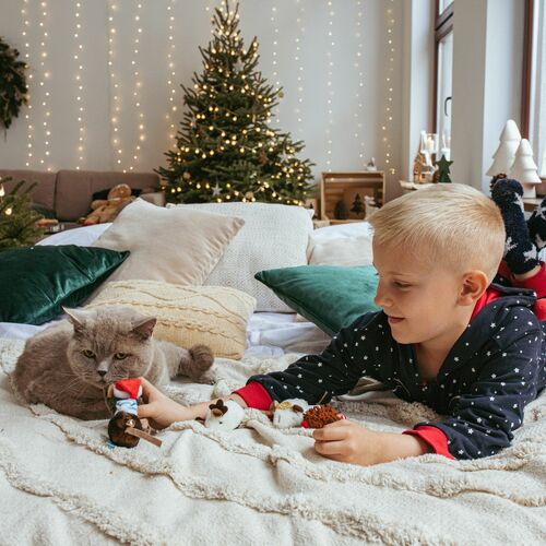 Product photo Skier Cat Toy 6