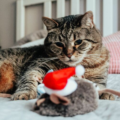 Product photo Santa Cat Toy Mouse 1 Pcs 4