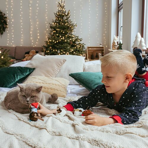 Product photo Santa Cat Toy Mouse 1 Pcs 7