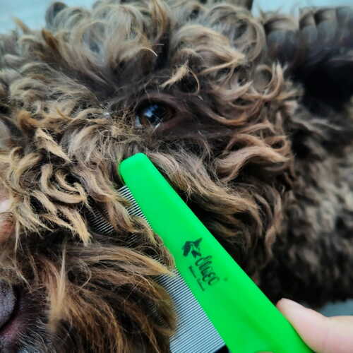 Product photo Plastic Handle Comb For Insects Removal 4