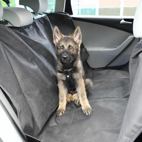 Product photo Car Seat Cover, Basic, 160 X 142Cm 13