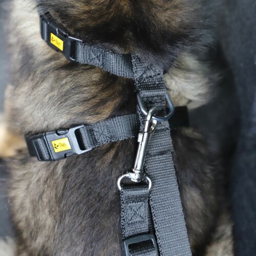 Product photo Safety Harness 12