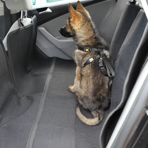 Product photo Safety Belt For A Dog 9