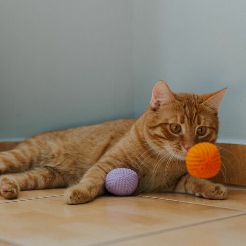 Product photo Cat Toy Ball "Yarn" ; 4 Cm, 2 Pcs 6