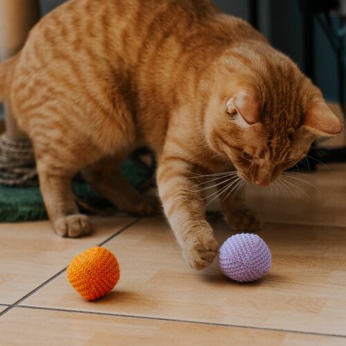 Product photo Cat Toy Ball "Yarn" ; 4 Cm, 2 Pcs 7