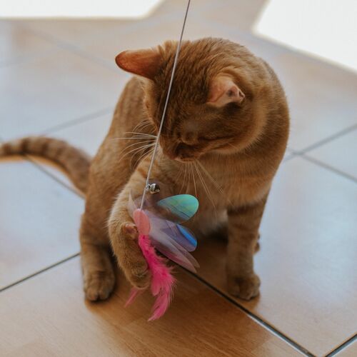Product photo Cat Teaser "Angel" 4