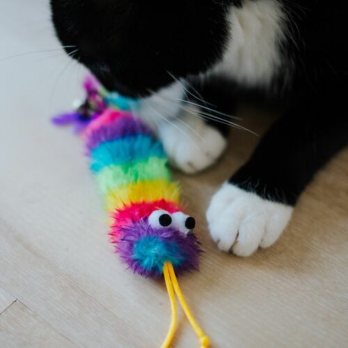 Product photo Cat Toy "Worm" 5