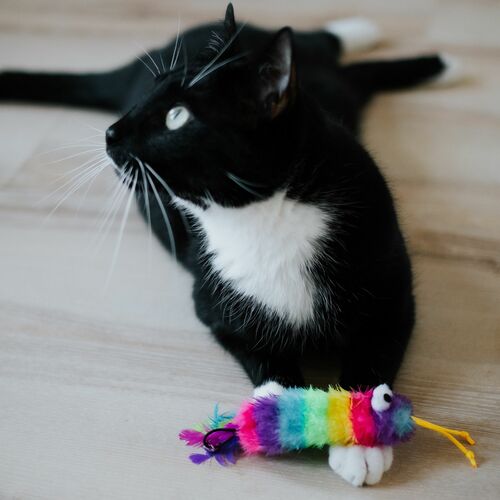 Product photo Cat Toy "Worm" 6
